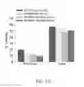 Fig. 46 - Map kinase modulators and uses thereof