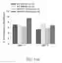 Fig. 49 - Map kinase modulators and uses thereof