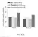 Fig. 50 - Map kinase modulators and uses thereof