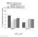 Fig. 51 - Map kinase modulators and uses thereof