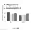 Fig. 52 - Map kinase modulators and uses thereof