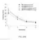 Fig. 57 - Map kinase modulators and uses thereof