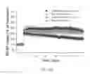 Fig. 66 - Map kinase modulators and uses thereof