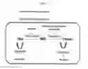 Fig. 02 - Macrocyclic proteasome inhibitors