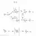 Fig. 11 - Macrocyclic proteasome inhibitors
