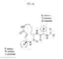 Fig. 15 - Macrocyclic proteasome inhibitors