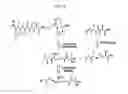 Fig. 17 - Macrocyclic proteasome inhibitors