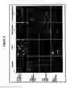 Fig. 03 - Small molecule inhibitors of fibrosis