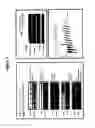 Fig. 04 - Small molecule inhibitors of fibrosis
