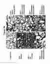 Fig. 06 - Small molecule inhibitors of fibrosis