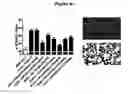 Fig. 07 - Small molecule inhibitors of fibrosis
