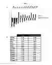 Fig. 09 - Small molecule inhibitors of fibrosis