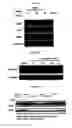 Fig. 11 - Small molecule inhibitors of fibrosis
