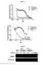 Fig. 12 - Small molecule inhibitors of fibrosis