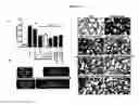 Fig. 14 - Small molecule inhibitors of fibrosis