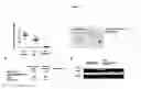 Fig. 19 - Small molecule inhibitors of fibrosis