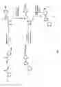 Fig. 02 - Synthesis of fatostatin based polycyclic compounds