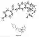 Fig. 02 - 2-amino 6-(difluoromethyl)-5,5-difluoro-6-phenyl-3,4,5,6-tetrahydropyridines as BACE1 inhibitors