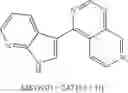 Fig. 22 - 7-azaindole derivatives