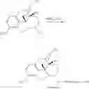 Fig. 100 - Oligomer-opioid agonist conjugates