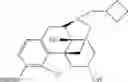 Fig. 33 - Oligomer-opioid agonist conjugates