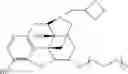Fig. 35 - Oligomer-opioid agonist conjugates