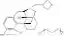Fig. 41 - Oligomer-opioid agonist conjugates