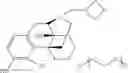 Fig. 43 - Oligomer-opioid agonist conjugates