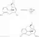 Fig. 95 - Oligomer-opioid agonist conjugates