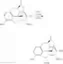 Fig. 96 - Oligomer-opioid agonist conjugates