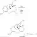 Fig. 98 - Oligomer-opioid agonist conjugates