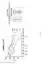 Fig. 05 - Pathway specific assays for predicting irritable bowel syndrome diagnosis