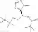 Fig. 218 - Compounds and methods for treating bacterial infections