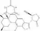 Fig. 333 - Compounds and methods for treating bacterial infections