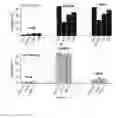 Fig. 06 - Selective cancer tracking eradicator and the uses thereof