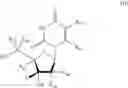 Fig. 116 - Deuterated nucleoside/tide derivatives