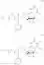 Fig. 12 - Deuterated nucleoside/tide derivatives
