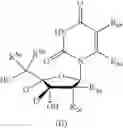 Fig. 83 - Deuterated nucleoside/tide derivatives