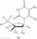 Fig. 85 - Deuterated nucleoside/tide derivatives