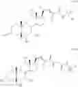 Fig. 455 - Bile acid analogs as FXR/TGR5 agonists and methods of use thereof
