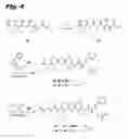 Fig. 05 - Tubulysin analogs and methods of making and use