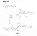 Fig. 10 - Tubulysin analogs and methods of making and use