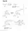 Fig. 11 - Tubulysin analogs and methods of making and use