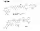 Fig. 12 - Tubulysin analogs and methods of making and use