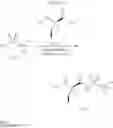 Fig. 147 - INHIBITORS OF HEPATITIS C VIRUS