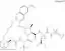 Fig. 331 - INHIBITORS OF HEPATITIS C VIRUS