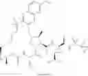 Fig. 337 - INHIBITORS OF HEPATITIS C VIRUS