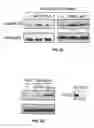 Fig. 09 - Compositions and methods for specific regulation of pyruvate dehydrogenase kinase