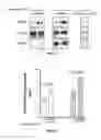 Fig. 13 - Compositions and methods for specific regulation of pyruvate dehydrogenase kinase