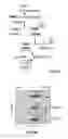 Fig. 14 - Compositions and methods for specific regulation of pyruvate dehydrogenase kinase